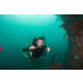 Advanced Open Water - Wreck Diving