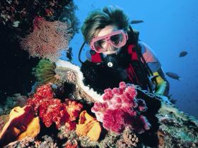 Explore the reef on Advanced Open Water dives